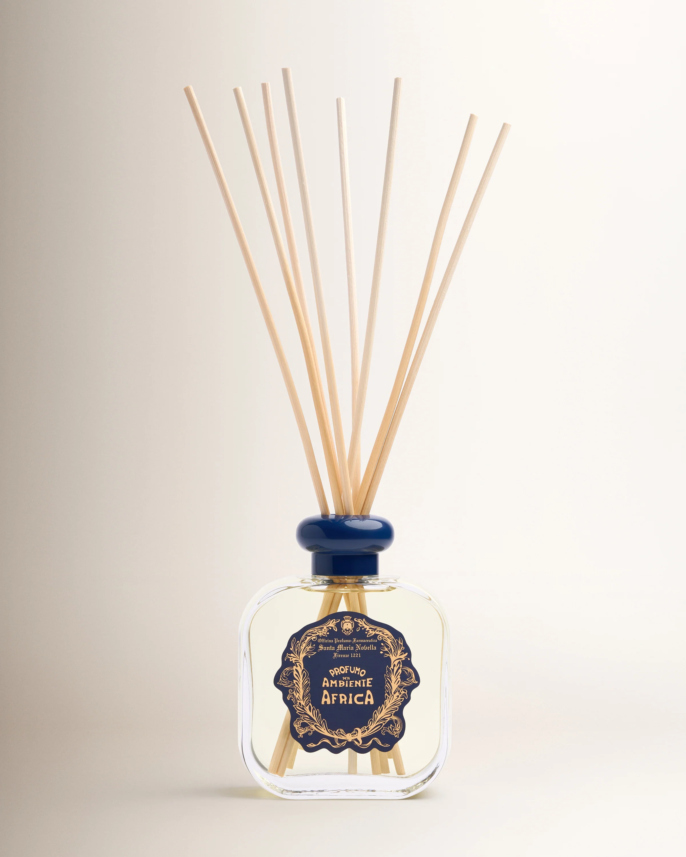 Africa Diffuser