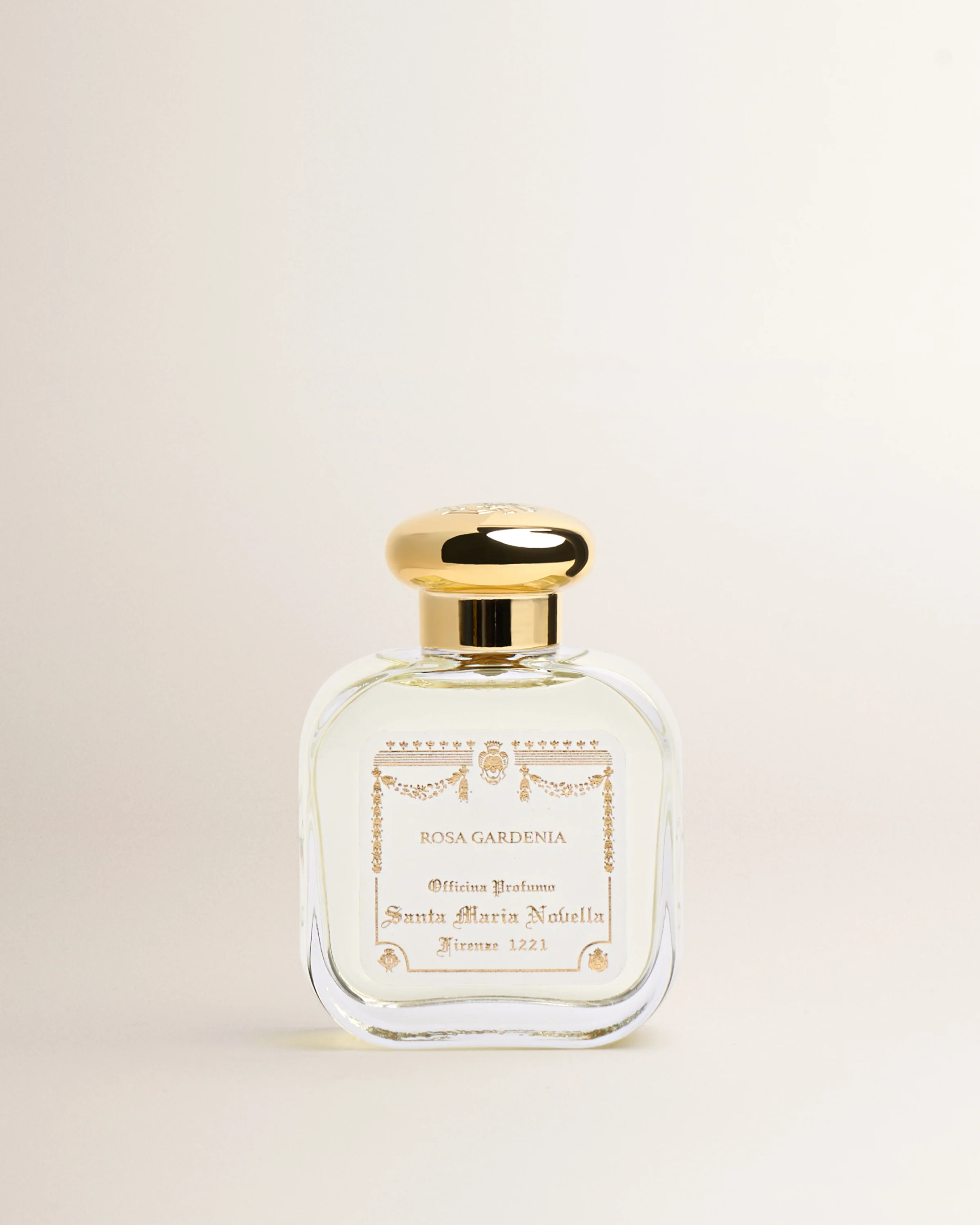 Rosa Gardenia - Image 3