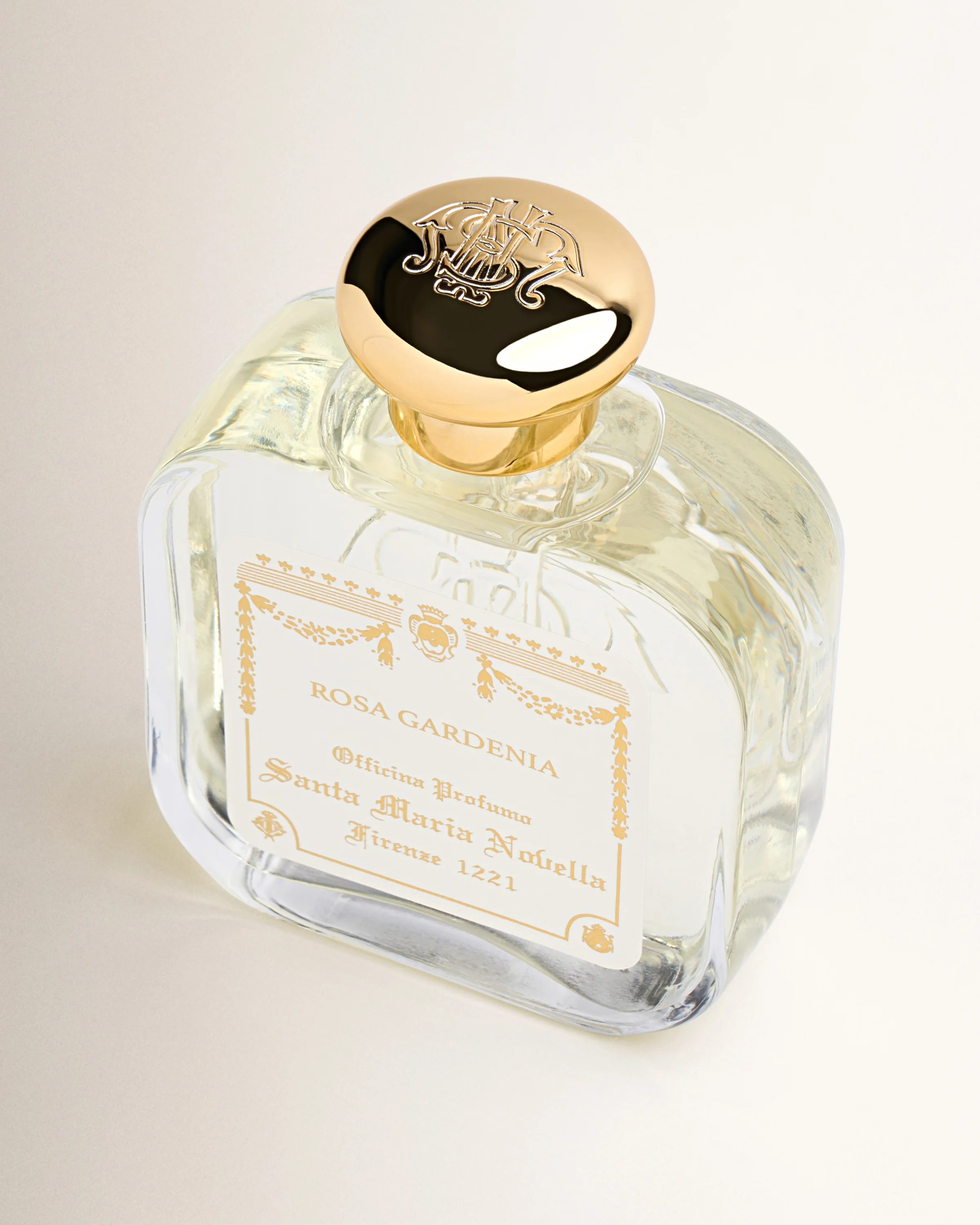 Rosa Gardenia - Image 4